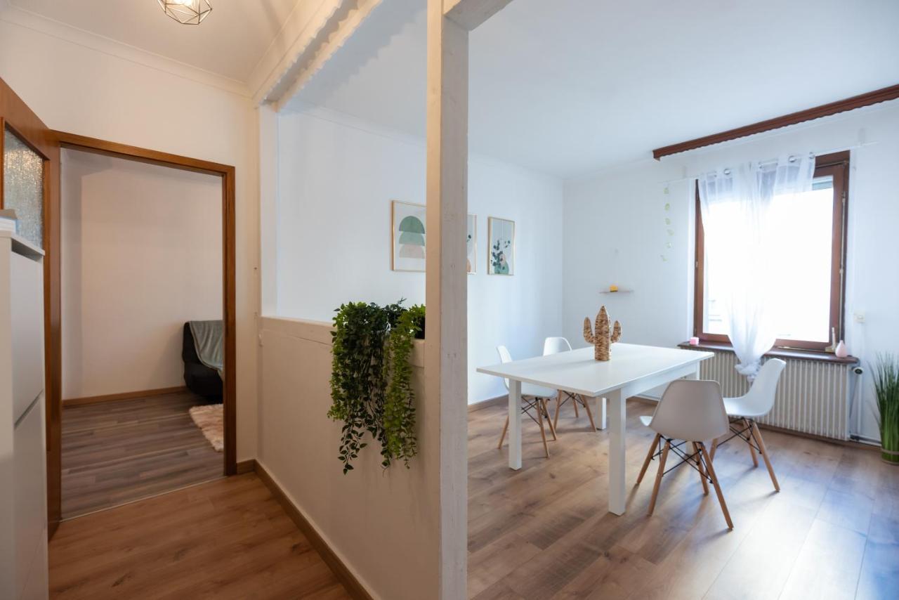 Appartement Cosy De 80 M2 Mulhouse Exterior foto